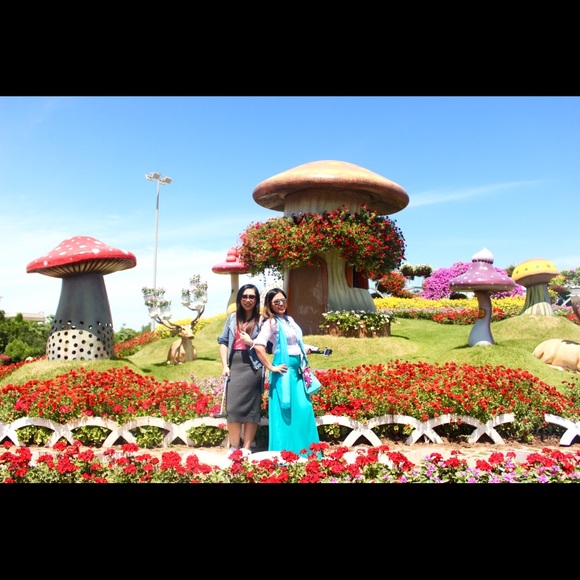 Meet your Posher, Venus diana - Picture 4 of 5